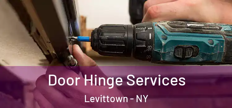 Door Hinge Services Levittown - NY