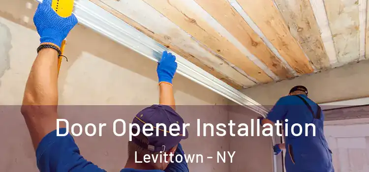 Door Opener Installation Levittown - NY