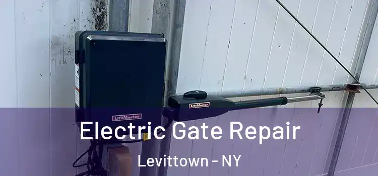 Electric Gate Repair Levittown - NY