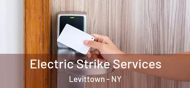 Electric Strike Services Levittown - NY