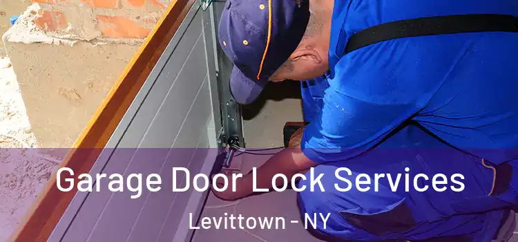 Garage Door Lock Services Levittown - NY
