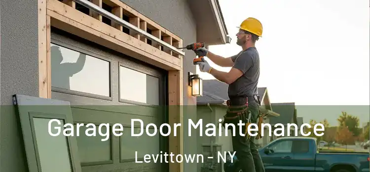 Garage Door Maintenance Levittown - NY