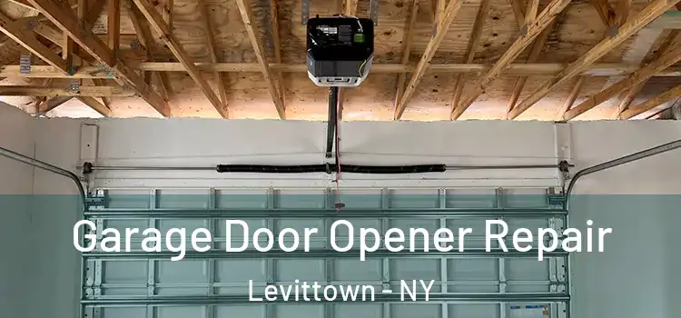 Garage Door Opener Repair Levittown - NY