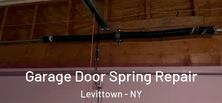  Garage Door Spring Repair Levittown - NY
