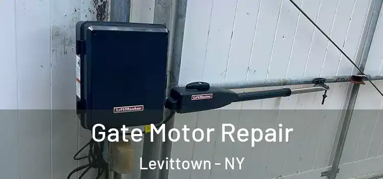 Gate Motor Repair Levittown - NY
