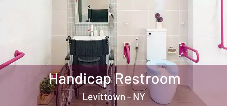 Handicap Restroom Levittown - NY