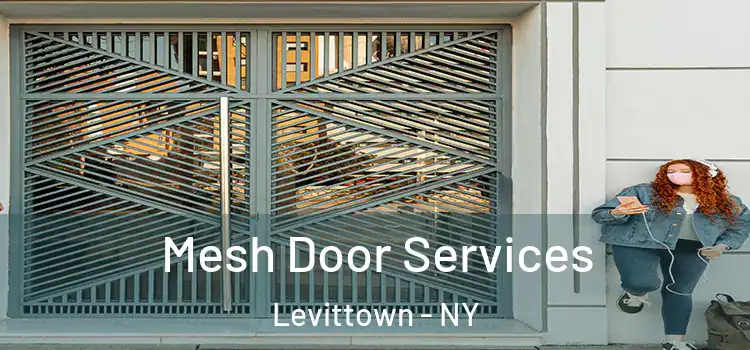 Mesh Door Services Levittown - NY