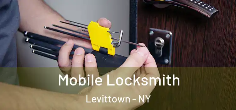 Mobile Locksmith Levittown - NY
